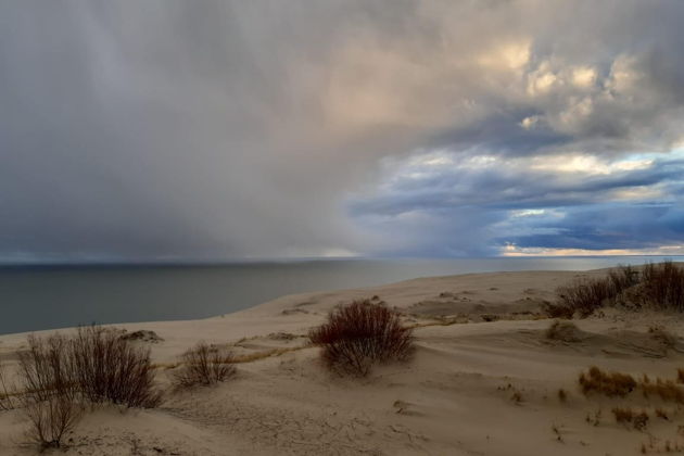 Фото экскурсии - Экскурсия на Куршскую косу с посещением орнитологической станции Фрингилла - 8