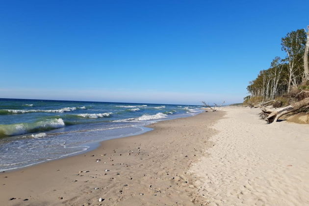 Фото экскурсии - Экскурсия на Куршскую косу с посещением орнитологической станции Фрингилла - 9