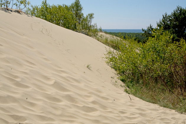 Фото экскурсии - Экскурсия на Куршскую косу с посещением орнитологической станции Фрингилла - 10