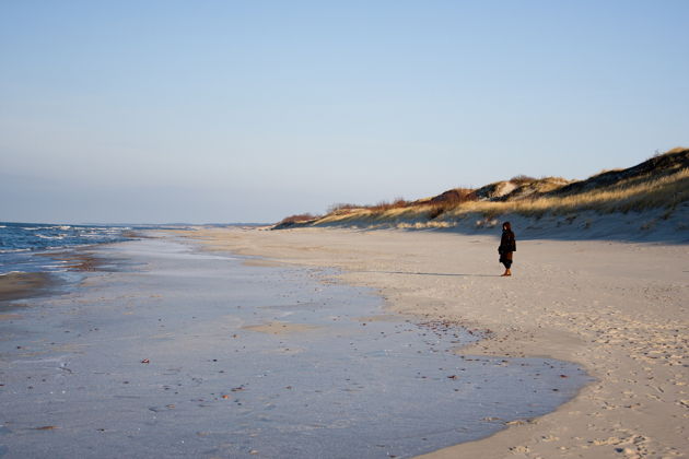 Фото экскурсии - Экскурсия на Куршскую косу с посещением орнитологической станции Фрингилла - 12