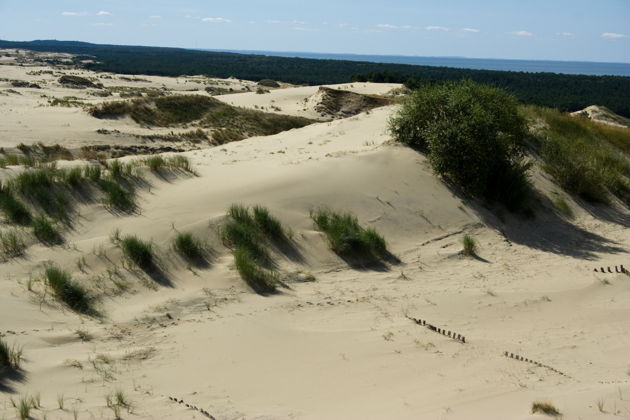 Фото экскурсии - Экскурсия на Куршскую косу с посещением орнитологической станции Фрингилла - 15