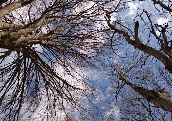 Вся Адыгея: Майкоп, плато Лаго-Наки, Азишская пещера и многое другое - фото 1