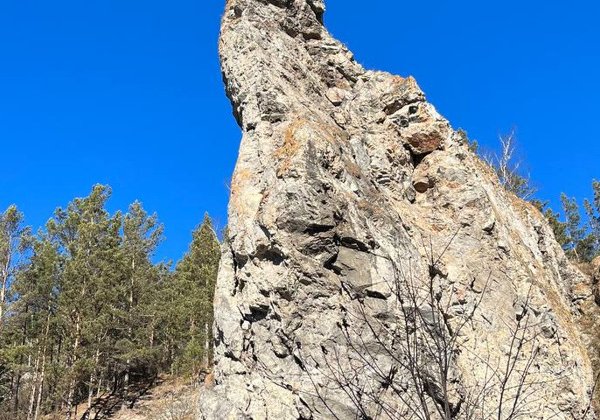 Голубка и бык: стражи леса и Енисея