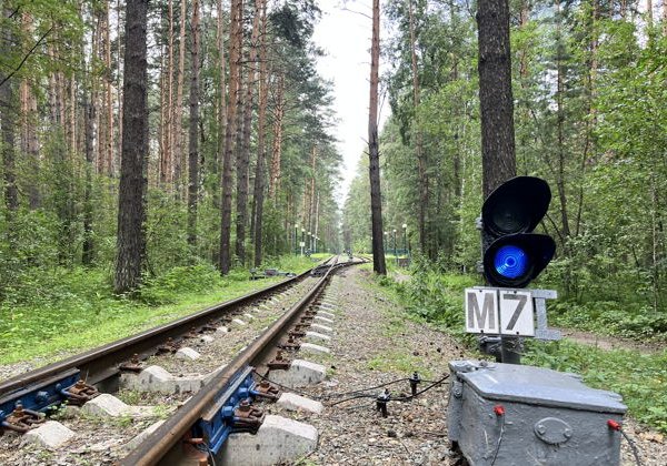 Велопрогулка по окрестностям Новосибирска - фото 4