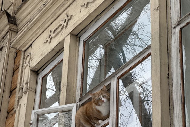 Фото экскурсии - Деревянная архитектура Томска в сибирских теремах - 13