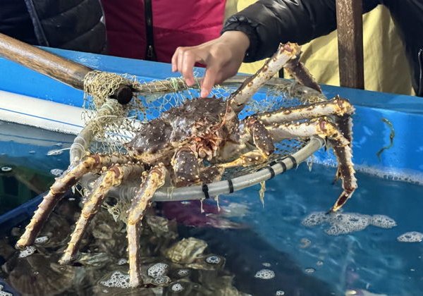 Прогулка по острову Русский с посещением Морефермы - фото 4
