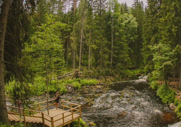 Природа Карелии: четыре водопада и круиз на ладье по Ладожским шхерам - фото 1