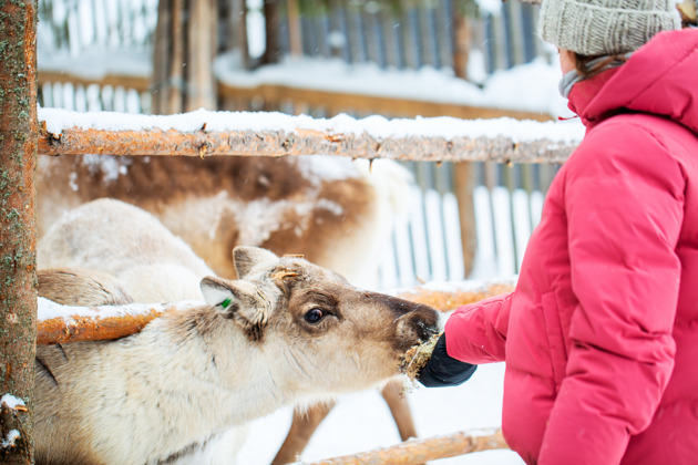 Фото - экскурсия: Захватывающая природа Карелии: четыре великолепных водопада и увлекательный круиз на ладье по Ладожским шхерам