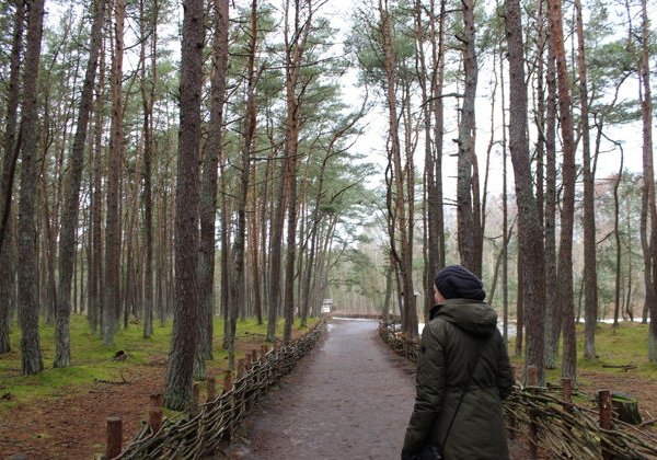 Экскурсия на Куршскую косу в мини-группе с посещением дюны «Ореховая», высоты Эфа и Танцующего леса - фото 4