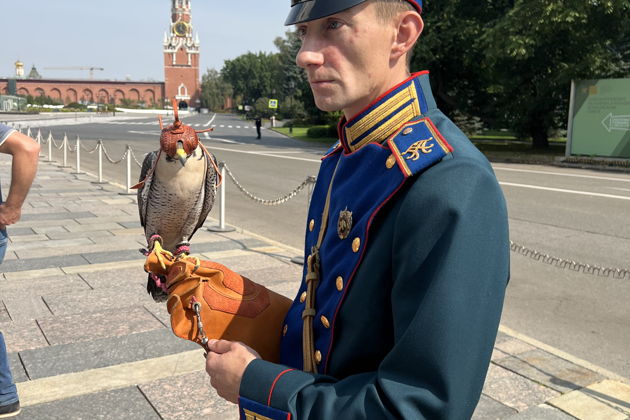Фото экскурсии - Московский Кремль с гидом на иностранном языке для официальных экскурсий - 7