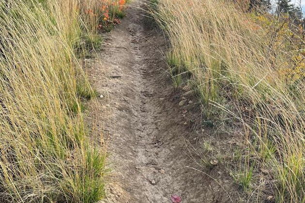 Фото экскурсии - Пеший поход из Джанхота к скале Парус - 7