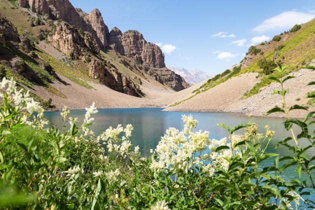 4 в 1: Амирсой, Чимган, Ходжикент и  Чарвакское водохранилище! - фото 2