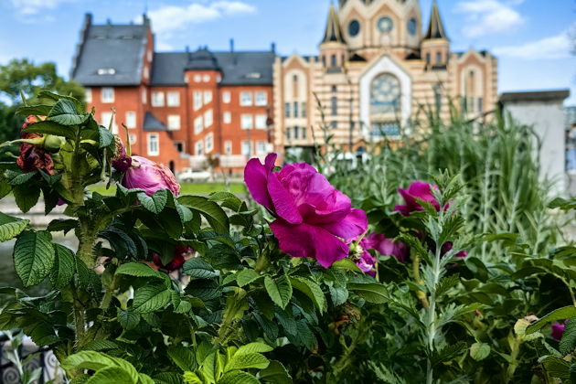Фото экскурсии - Кенигсберг рыбный и двенадцать вкусов пива - 14