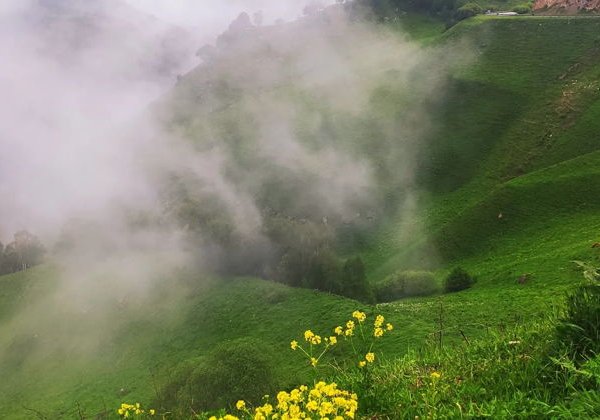 Из Пятигорска в Домбай: величие гор - фото 1