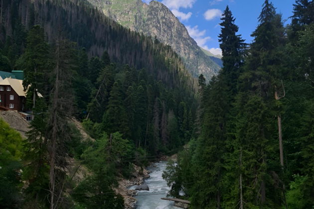 Фото экскурсии - Волшебный Домбай: горное путешествие с Кавказа из Кисловодска - 5