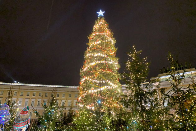 Фото экскурсии - Волшебный Петербург в праздничных огнях и самые нарядные городские елки - 12