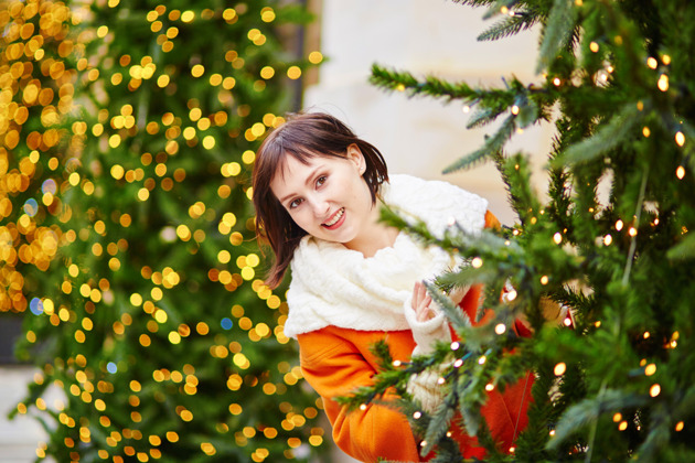Фото - экскурсия: Волшебный Петербург в праздничных огнях и самые нарядные городские елки