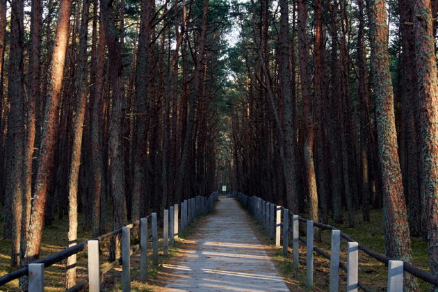 Фото экскурсии - Экскурсия на микроавтобусе: сыроварня Шаакен Дорф, Куршская коса и Зеленоградск - 8