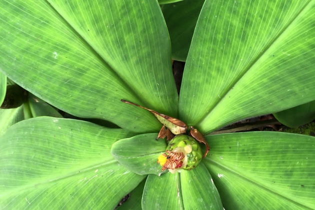 Фото экскурсии - Убуд - тайны и загадки  - 7