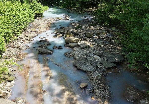 Легендарные достопримечательности Сочи за один день - фото 2