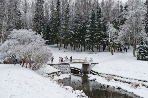 Фото - экскурсия: Автопутешествие в очаровательное Царское Село и гостеприимный Павловск: два города за день
