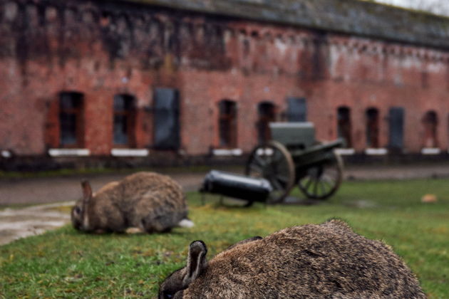 Фото экскурсии - Исследуем ключевые форты и бастионы Кенигсберга: следы истории - 7