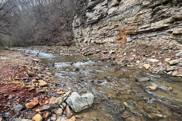 Фото экскурсии - Вас ждёт Домбай: едем в «Кавказскую Швейцарию» - 2