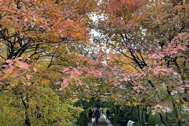 Фото экскурсии - Прогулка вокруг Новой Голландии - 7