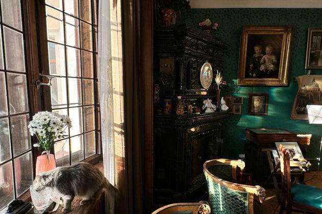 Фото экскурсии - В гости к Бенуа: живая квартира на Васильевском - 14