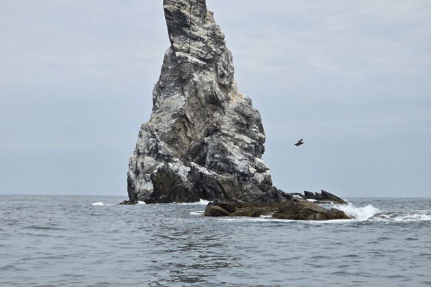 Фото экскурсии - К морским львам и нерпам с посещением сафари-парка (автомобиль + катер) - 3