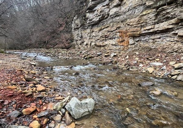 Едем в «Кавказскую Швейцарию» — вас ждёт Домбай! - фото 3