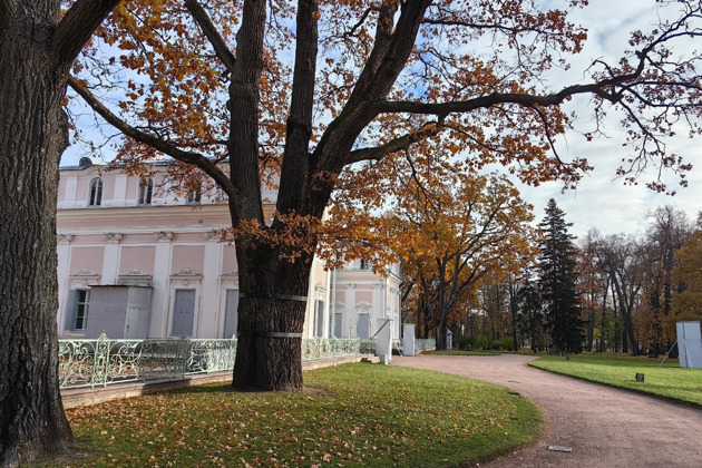 Фото - экскурсия: Невероятная красота парка Ораниенбаума