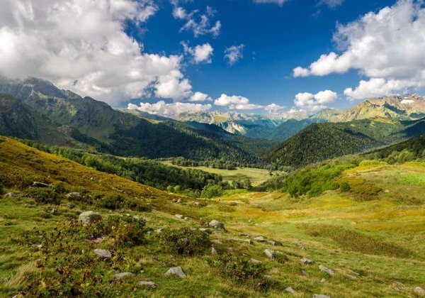 Эксклюзив-тур «Альпийские луга и минеральный источник Ауадхара» - фото 3