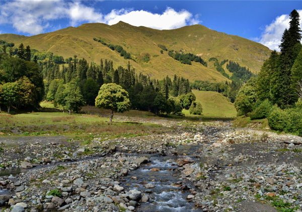 Эксклюзив-тур «Альпийские луга и минеральный источник Ауадхара» - фото 4