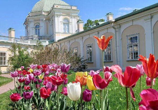 От Ораниенбаума до Петергофа: сквозь эпохи - фото 2