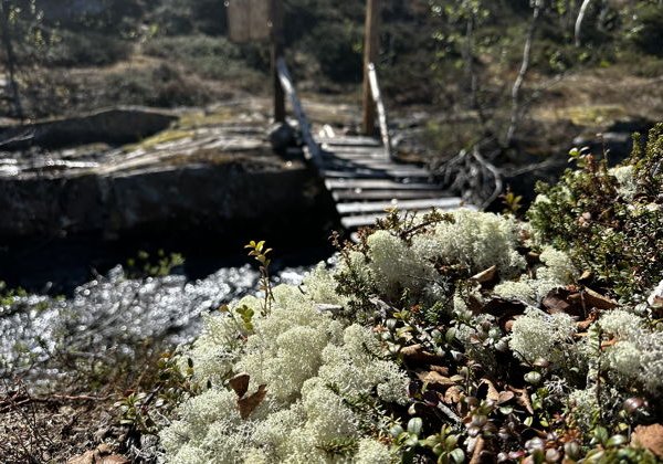 Магия воды: Водопады Севера Кольского полуострова.  - фото 4