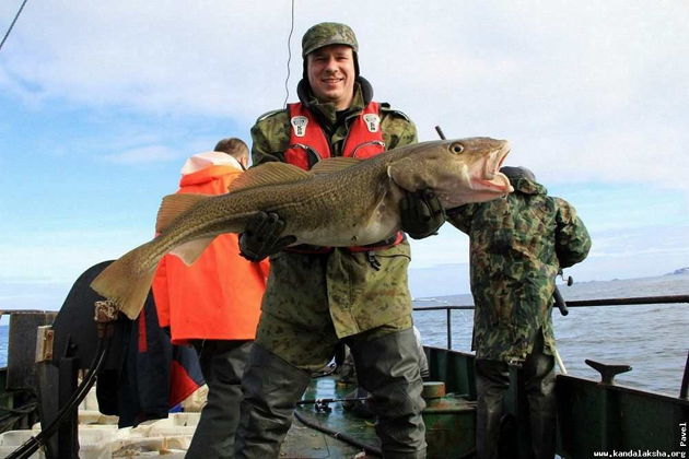 Териберка. Морская рыбалка с гарантированным уловом-4