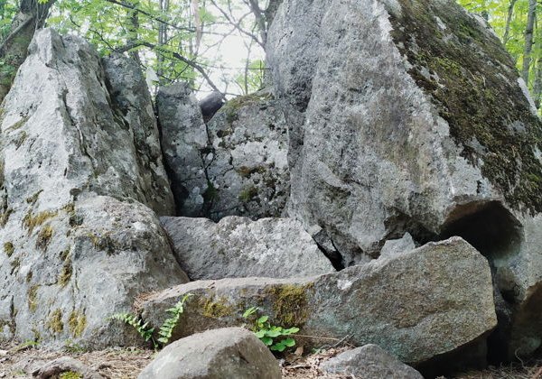 К Ладожским Шхерам на красном Жуке или вся красота Карелии за один день - фото 2