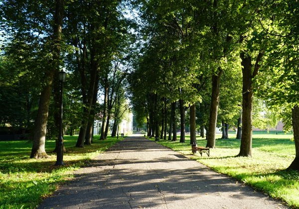 Великий Новгород — детям!  - фото 3
