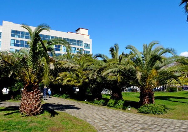Аудиоэкскурсия по улице Навагинской в Сочи - фото 3