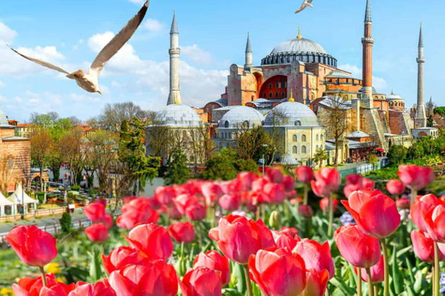 Фото экскурсии - Тур в Стамбул из Кемера - 15