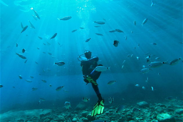 Фото экскурсии - Погружение в мир дайвинга и подводных обитателей - 9