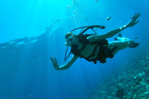 Фото экскурсии - Погружение в мир дайвинга и подводных обитателей - 10