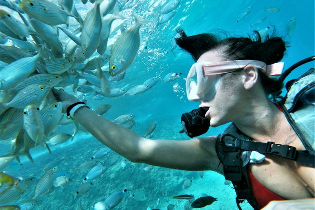 Фото экскурсии - Погружение в мир дайвинга и подводных обитателей - 11