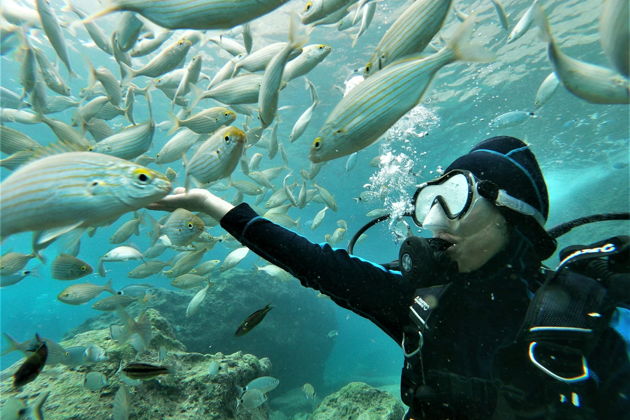 Фото экскурсии - Погружение в мир дайвинга и подводных обитателей - 12