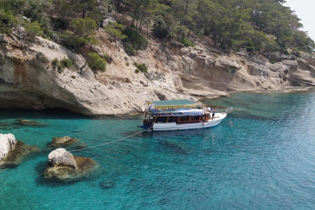 Фото экскурсии - Погружение в мир дайвинга и подводных обитателей - 13