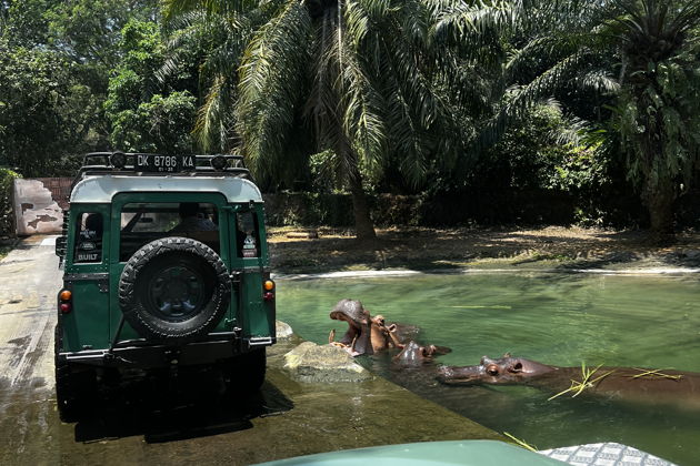 Фото экскурсии - Сафари на джипе по парку Bali Safari and Marine park - 3