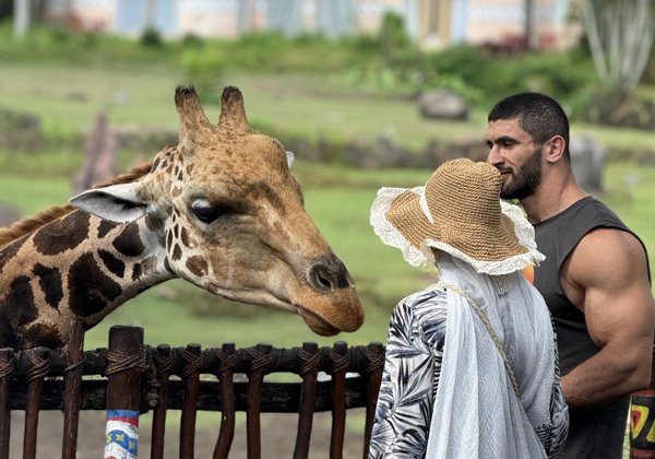 Сафари на джипе по парку Bali Safari and Marine park