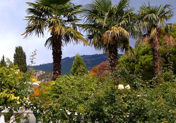 Джип- тур. Пещерные города Крыма: Челтер-Мармара и Эски-Кермен - фото 3