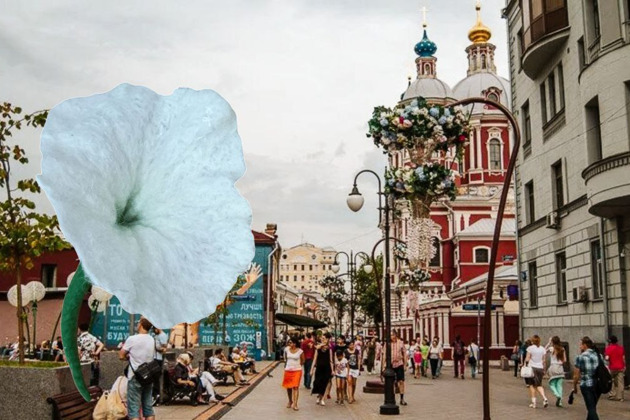 Фото - экскурсия: Экскурсия + мастер-класс: прогулки и творчество у Третьяковки. Тайны Замоскворечья: следы старой Москвы